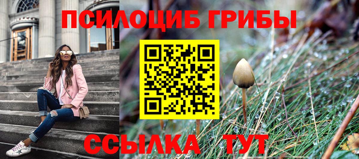 Псилоцибиновые грибы Cubensis Коломна