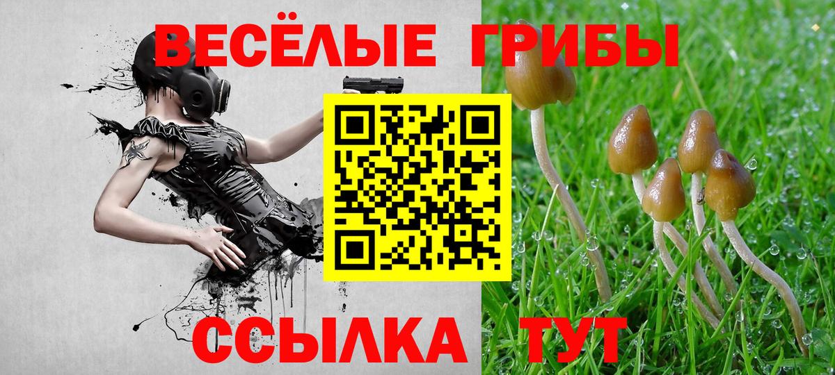 Галлюциногенные грибы мицелий  Вход с VPN  Псилоцибиновые грибы MAGIC MUSHROOMS  Коломна 
